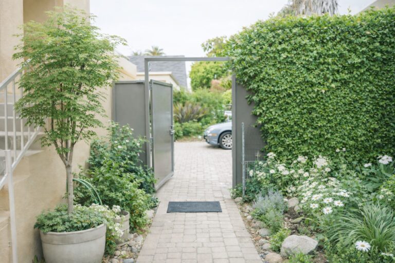 WhatsApp Image 2026-04-05 at 9.39.22 PM